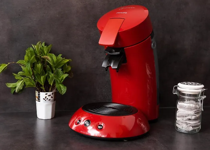 - Comme A La Maison - Шатобриан